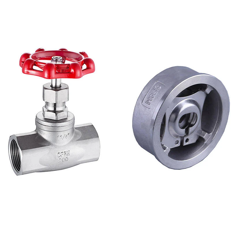Differences Between Globe Valves and Check Valves Operating Principles and Applications